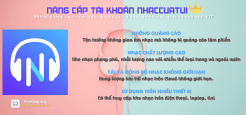 Nâng cấp dịch vụ NHACCUATUI VIP - 12 tháng